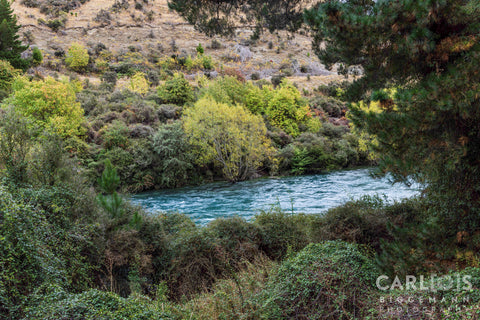 Waikato River in New Zealand.