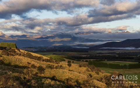 Marlborough region of New Zealand.