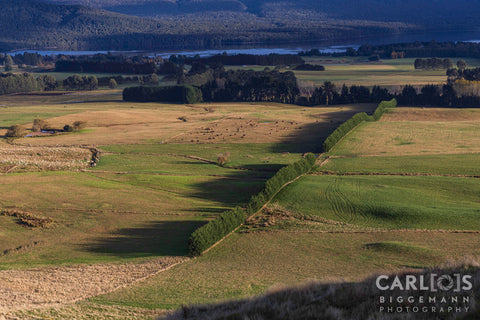Marlborough region of New Zealand.