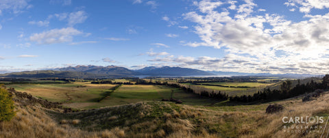 Marlborough region of New Zealand.