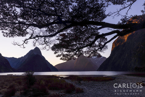 Milford Sound located within the stunning Fiordland National Park in New Zealand.