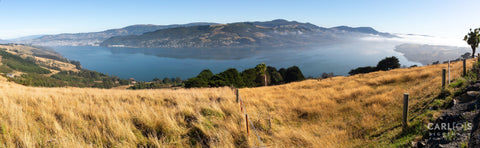 New Zealand-Otago Peninsula-Dunedin-Panorama