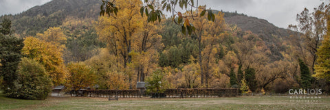 Autumn Colors In Arrowtown