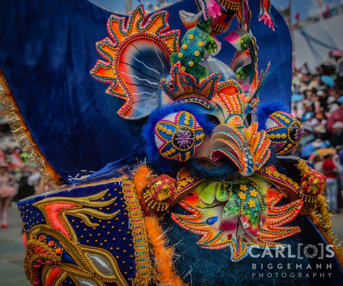 Beautiful Ornamenta Mask
