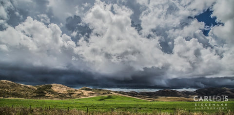 Sunny Day , South Island's New Zealand