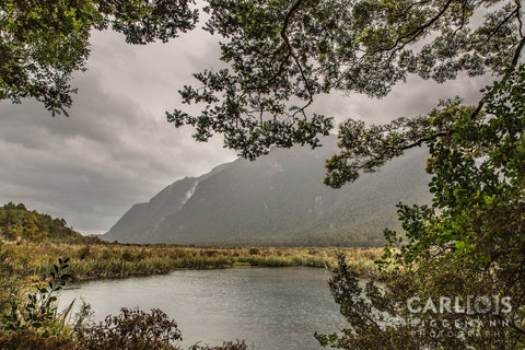 Lagoon in The Anau, South Island of New Zealand