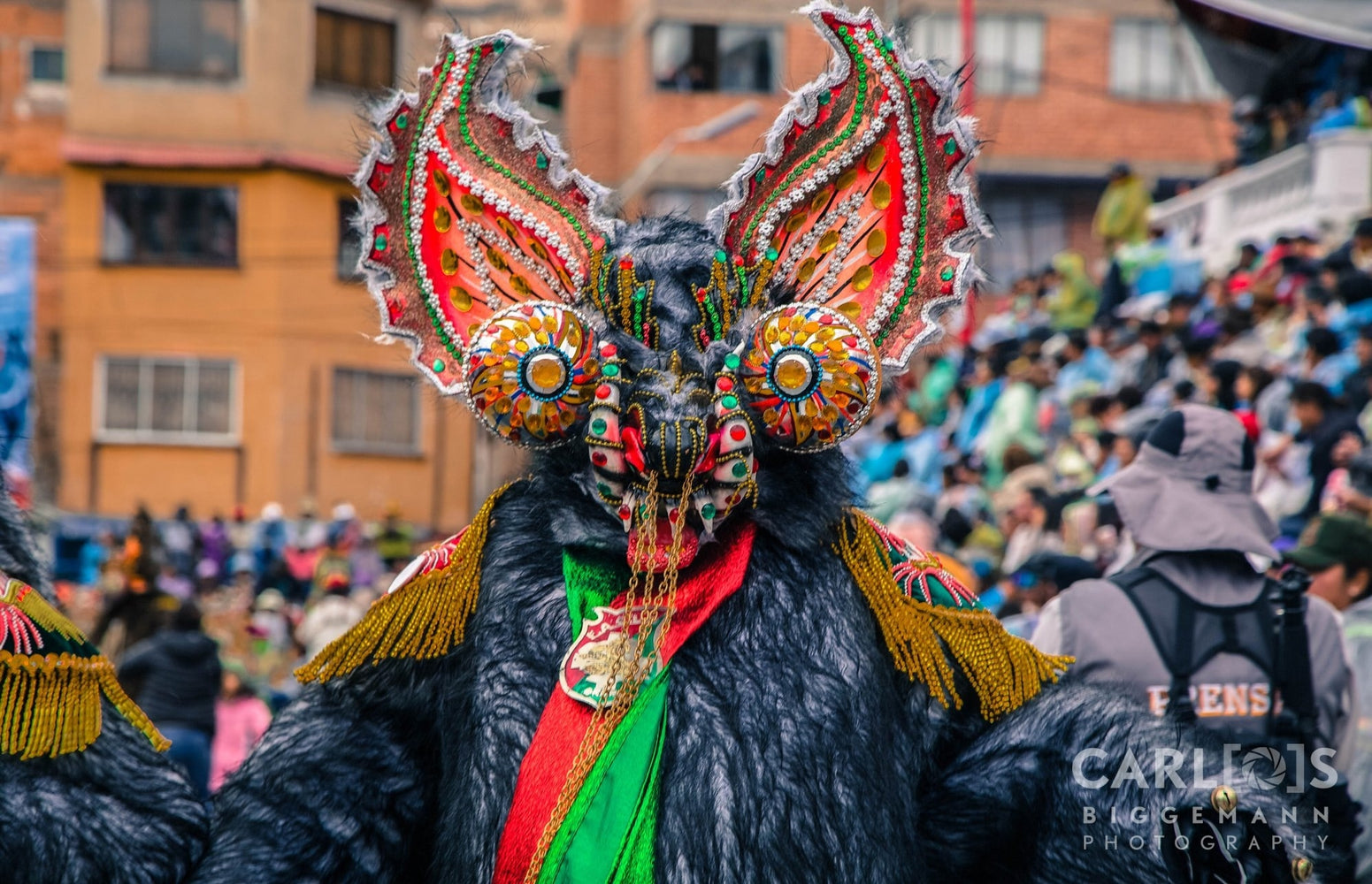 Oso - Fraternidad Cultural Y Artistica