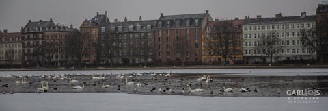 Photo Taken In Copenhagen Denmark