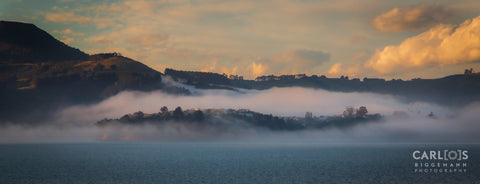 Sunrise At Otago's Peninsula