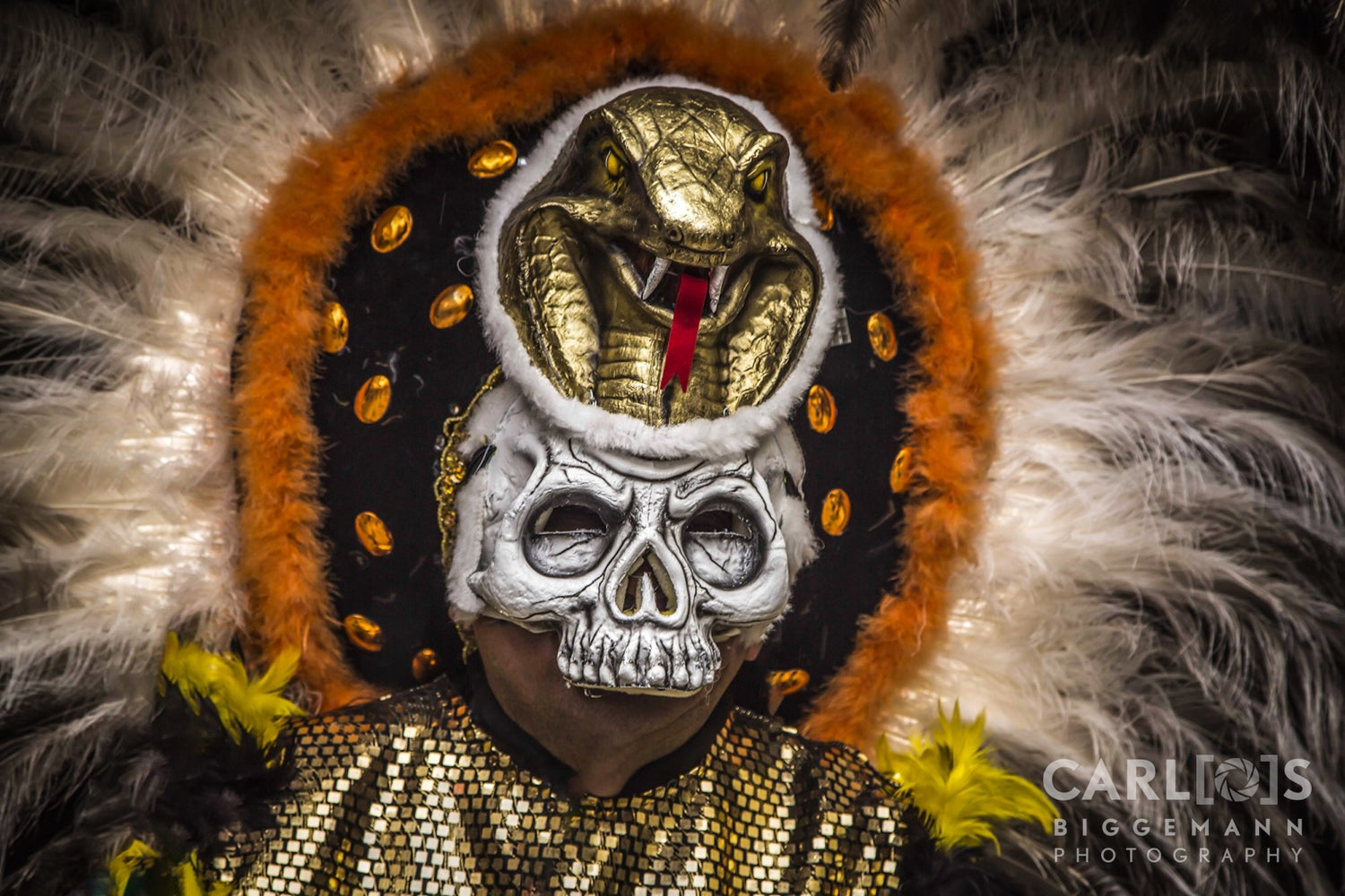 The White Skeleton
